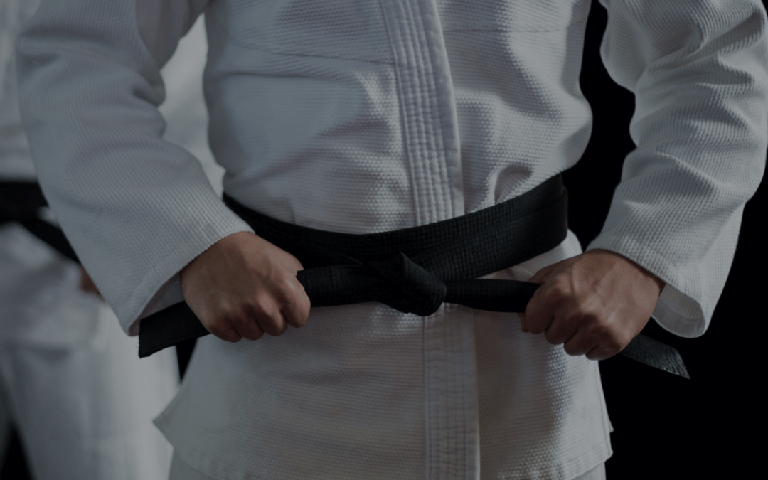 Mastering Martial Arts: The Road to Black Belt